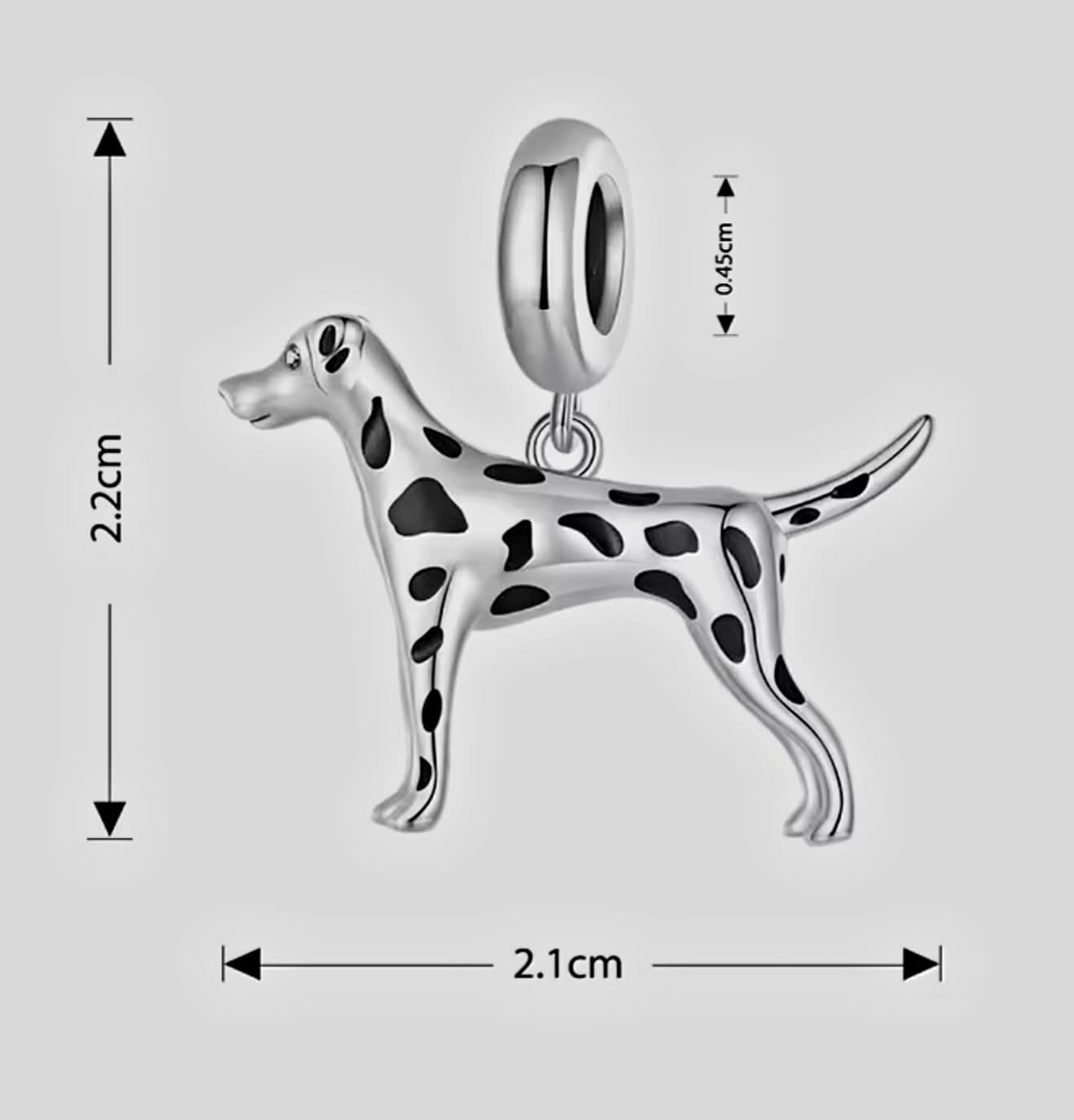 Dalmatian charm