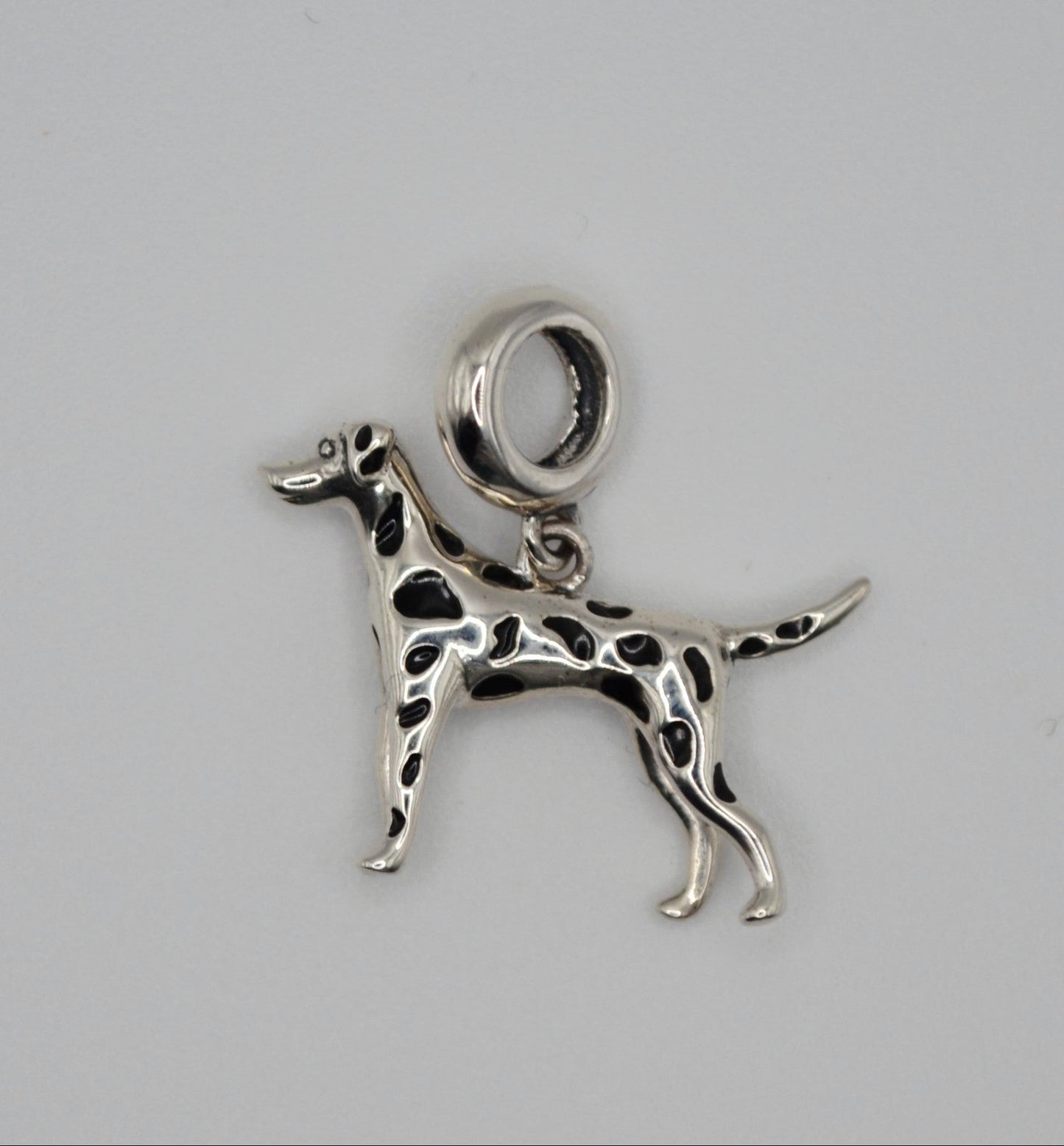 Dalmatian charm