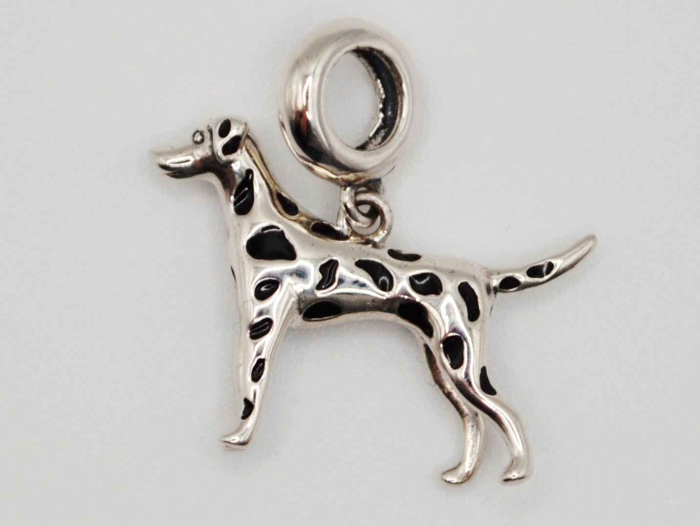 Dalmatian charm