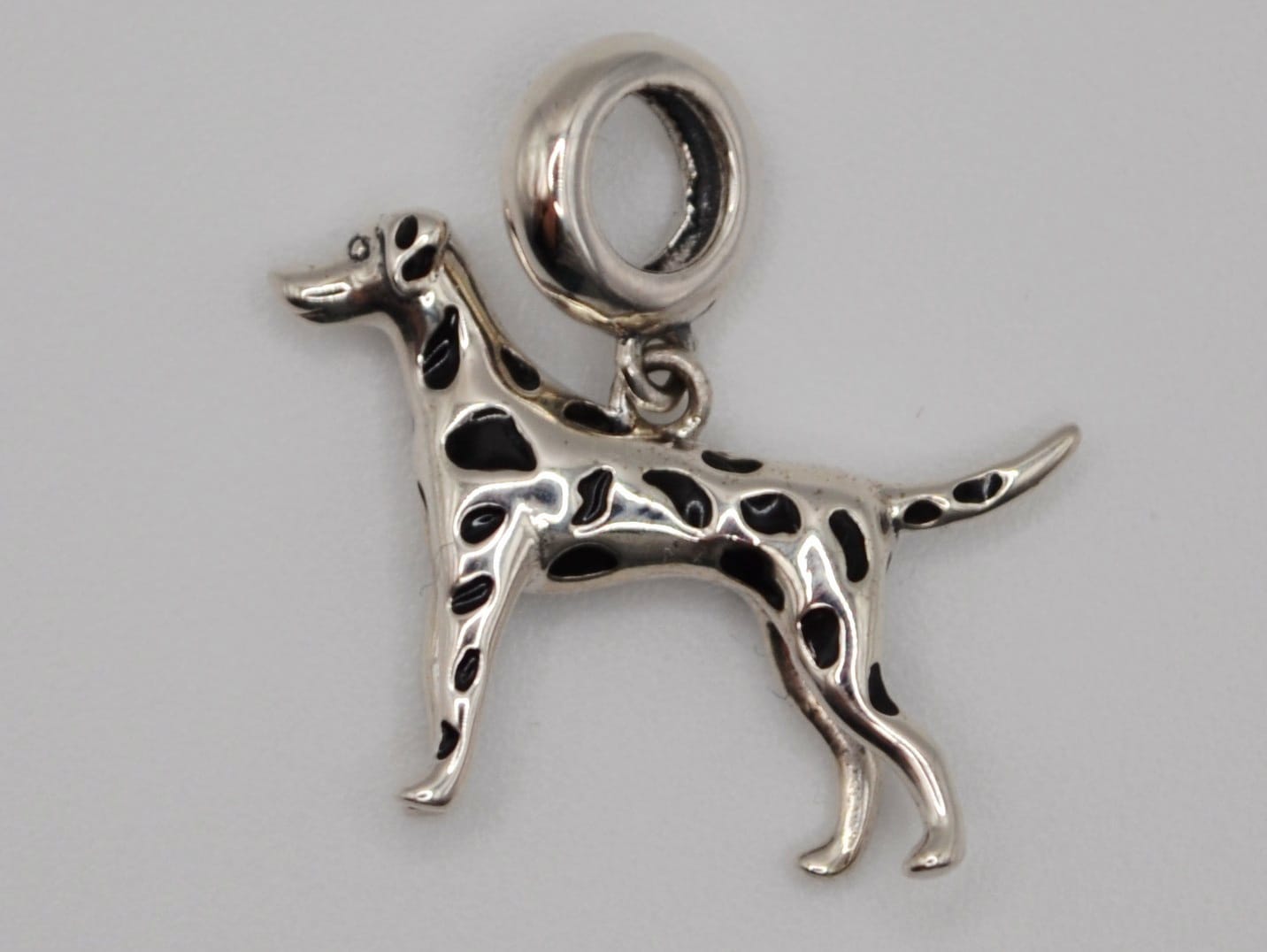 Dalmatian charm
