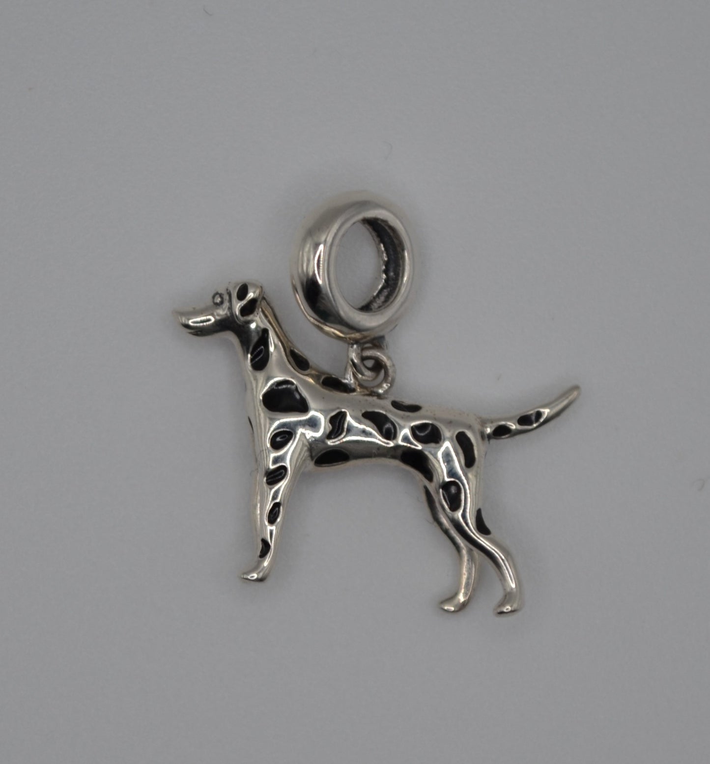 Dalmatian charm