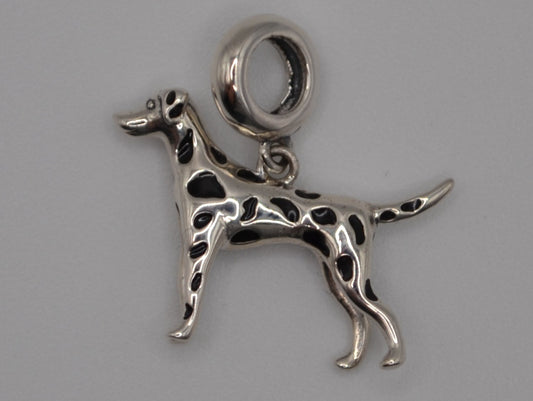 Dalmatian charm